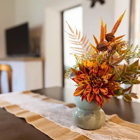 Rozpravkova Hajenka V Nizkych Tatrach Dağ evi